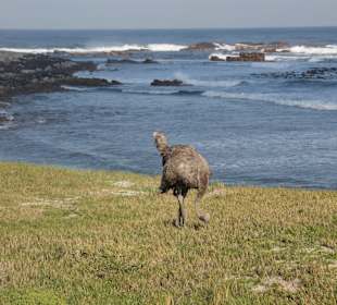Kap der Guten Hoffnung