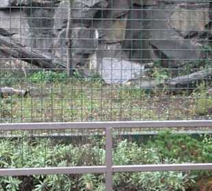Tierpark 