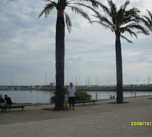 Auf dem Weg zum Hafen