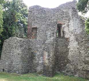 Svojšice zřícenina