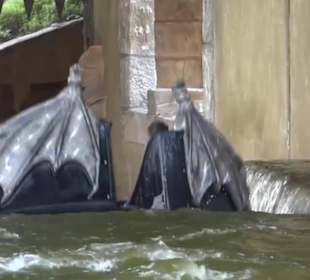 Mystery - River Quest