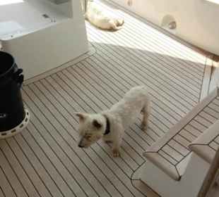 Ausflug mit Alexandra EL Gouna