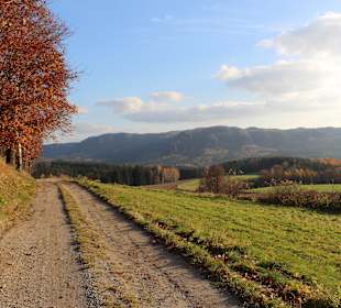 Der grüne Wanderweg