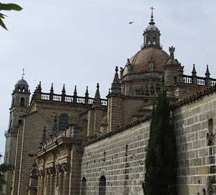 Excursión a Jerez