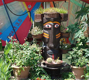 Segel- & Surfschule Seebär Side