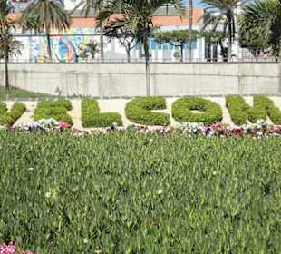 Park Santa Catalaina