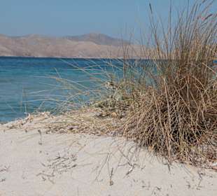 Strandlandschaft 