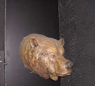 Eiszeitlicher Höhlenbär Gletschergarten Luzern