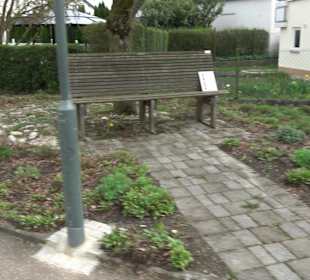 Evangelische Kirche Sonderbuch