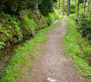 Waalweg richtung Waalerhütte