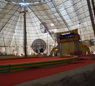 In der Manege vor der Vorstellung