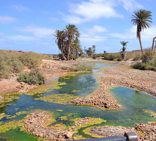 Nordtour zum Leuchtturm 2013