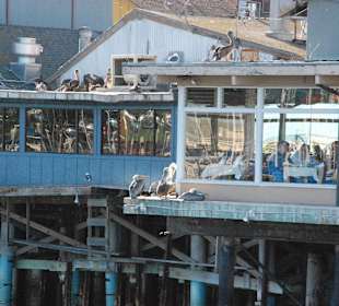 Old Fishermans Wharf, Monterey