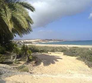 Ein Traumstrand, Hotel Royal Suite