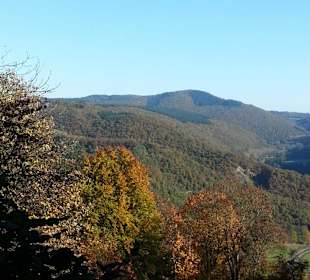 Traumpfad mit Traumblick