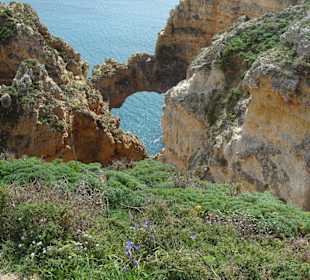 Ponta da Piedade