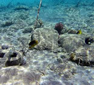 Sharm El Naga - Nah am Strand