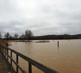 Am Ufer entlang, Braunes Hochwasser