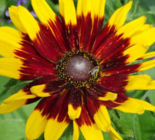 Eindrücke vom Rundgang durch den Park der Gärten