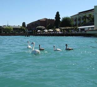 Озеро Гарда