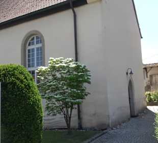 Kirche St. Clemens - Poltringen