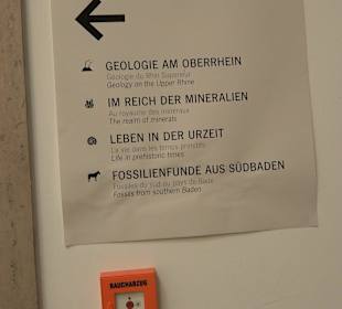 Staatliches Naturkunde Museum