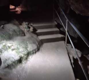 Nebelhöhle