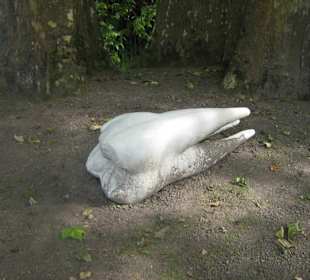 Scultura: un molare!