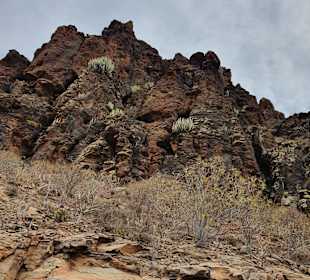 Jeep Safari Cercado de Espino