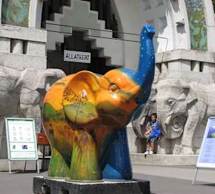 Слоненок при входе в зоопарк