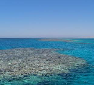 Delphintour - Schönes Riff