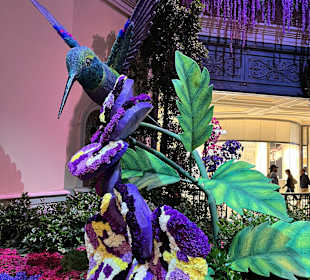 Botanischer Garten im Bellagio Las Vegas