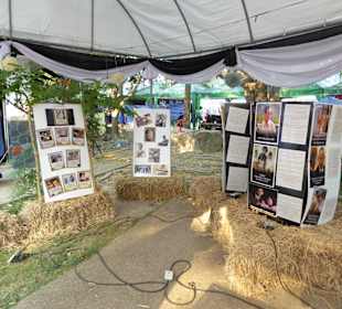 Ausstellung zu Ehren des verstorbenen Königs