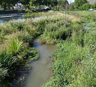Gartenschau Eppingen