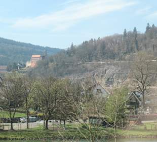 Burg Hirschhorn oberhalb der Stadt Hirschhorn