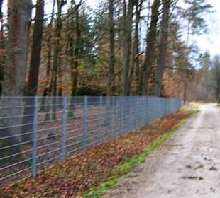 Entlang am Damwildbereich