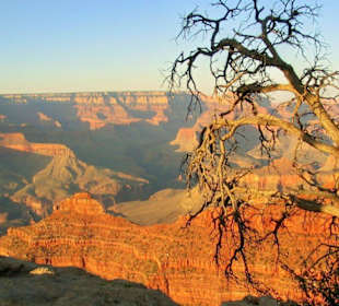 Sonnenuntergang am South Rim