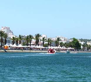 Schönes Motiv bei der Heimfahrt