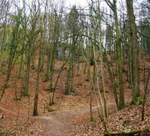 Gelände noch unterhalb der Burg