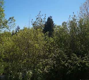 Zoo Arche Noah Grömitz