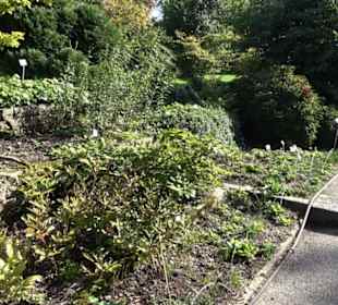 Botanischer Garten München