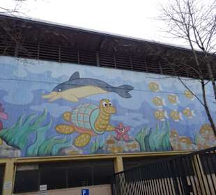 Bei der Mombachquelle