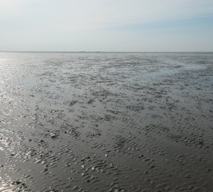 Beim Nordsee-Wattenmeer bei Cuxhaven