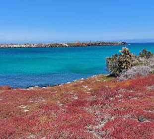Santa Cruz - Galapagos