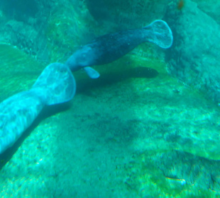 Zoo Wrocław