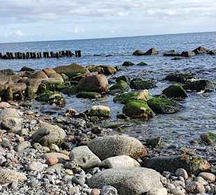 Strand Graal-Müritz