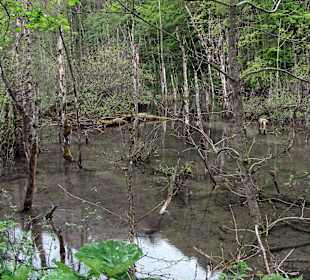 Wandern nach Gerstruben