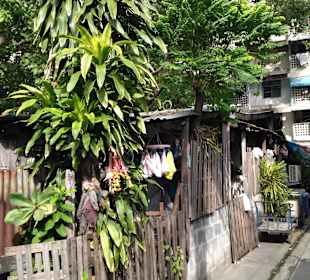 Mit Green Mango das ursprüngliche BKK entdecken