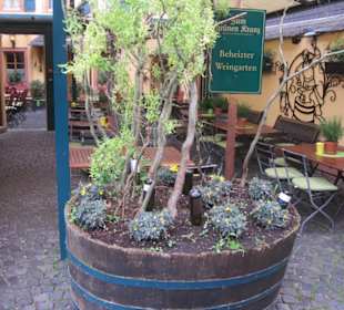 Blick auf die Altstadt