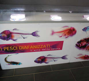 Aquarium Cala Gonone